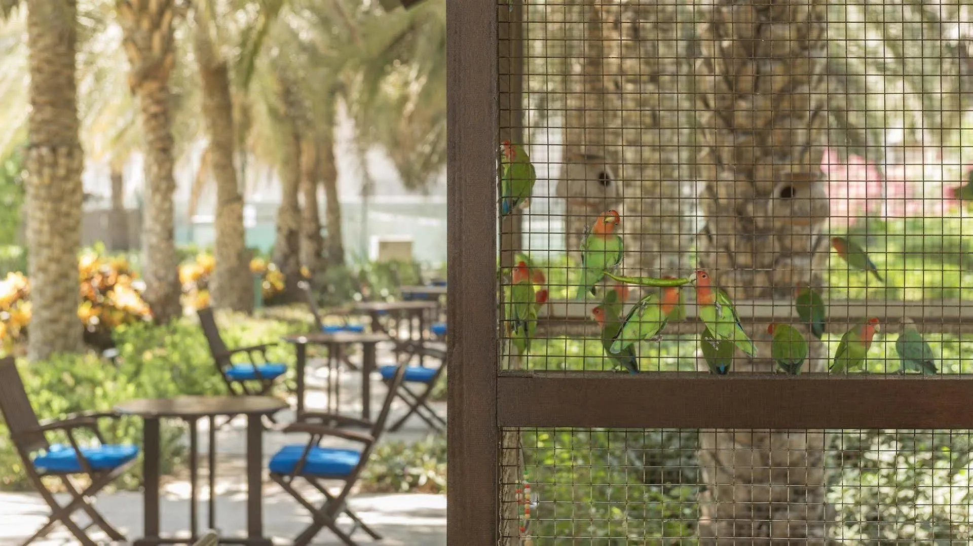 Coral Beach Resort Şarja